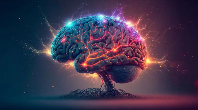 Human Brain: Structure & Functions